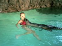 Underwater World - Accommodation Adelaide 2