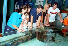 Underwater World - Accommodation Adelaide 3