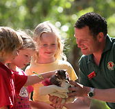 Cleland Wildlife Park - Accommodation Adelaide