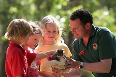 Cleland Wildlife Park - Accommodation Adelaide 0