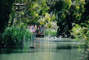 Cleland Wildlife Park - Accommodation Adelaide 1