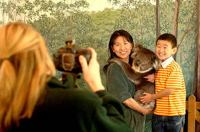 Cleland Wildlife Park - Accommodation Adelaide 2