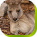 Abbotsbury NSW Accommodation Adelaide