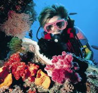 Gold Coast Seaway Dive Site - Accommodation Adelaide
