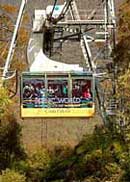 Scenic World Blue Mountains - Accommodation Adelaide 1