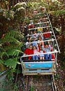 Scenic World Blue Mountains - Accommodation Adelaide 2