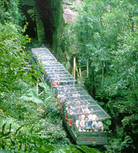 Scenic World Blue Mountains - Accommodation Adelaide 3