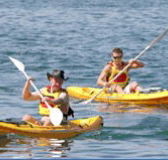 Manly Kayaks - Accommodation Adelaide
