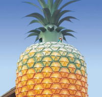 The Big Pineapple - Accommodation Adelaide