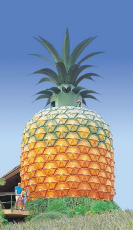The Big Pineapple - Accommodation Adelaide 0