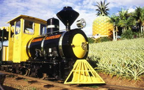 The Big Pineapple - Accommodation Adelaide 3