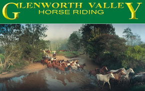 Peats Ridge NSW Accommodation Adelaide