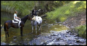 Glenworth Valley Horseriding - Accommodation Adelaide 1