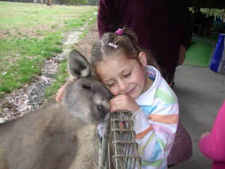 Gumbuya Park - Accommodation Adelaide 3