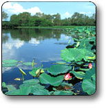 Kakadu National Park - Accommodation Adelaide 3