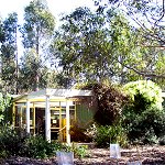 Koala Conservation Centre - Accommodation Adelaide 1