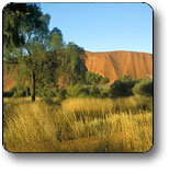 Uluru - Kata Tjuta National Park - Accommodation Adelaide 0
