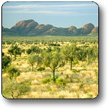 Uluru - Kata Tjuta National Park - Accommodation Adelaide 2
