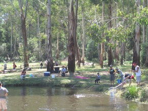 Buxton Trout And Salmon Farm - Accommodation Adelaide 3