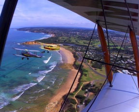Tiger Moth World Adventure Park - Accommodation Adelaide 1