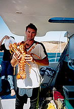 Temptation Sailing - Accommodation Adelaide 3
