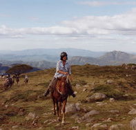 High Country Horses - Accommodation Adelaide