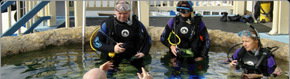 Scuba World - Accommodation Adelaide 2