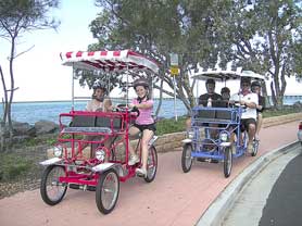 Beach Safaris - Accommodation Adelaide 0