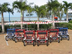 Beach Safaris - Accommodation Adelaide 1