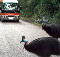 Kookaburra Tours - Accommodation Adelaide