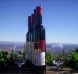 Mount Tamborine Winery  Homestead - Accommodation Adelaide