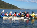 Sydney Harbour Kayaks - Accommodation Adelaide 2