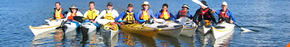 Sydney Harbour Kayaks - Accommodation Adelaide 3