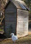 Wagga Wagga Zoo - Accommodation Adelaide 2