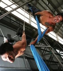 Sydney Trapeze School - Accommodation Adelaide 2