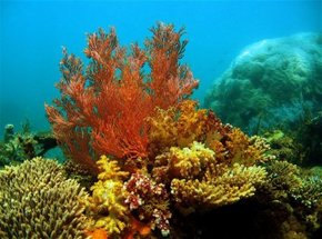 Exmouth WA Accommodation Adelaide