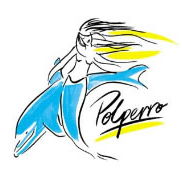 Polperro Dolphin Swims - Accommodation Adelaide