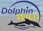 Dolphin Wild - Accommodation Adelaide 0