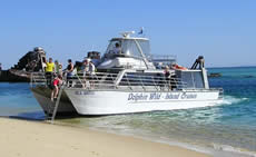 Dolphin Wild - Accommodation Adelaide 2