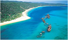 Dolphin Wild - Accommodation Adelaide 3