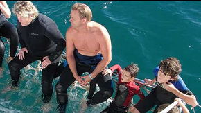Dolphcom - Dolphin & Whale Swimming Adventures - Accommodation Adelaide 2