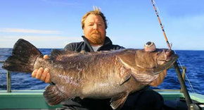 Bravo Fishing Charters - Accommodation Adelaide 0
