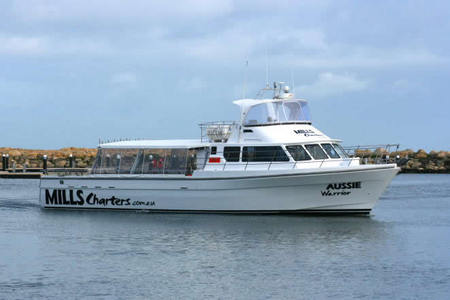 Mills Charters Fishing And Whale Watch Cruises - Accommodation Adelaide 1
