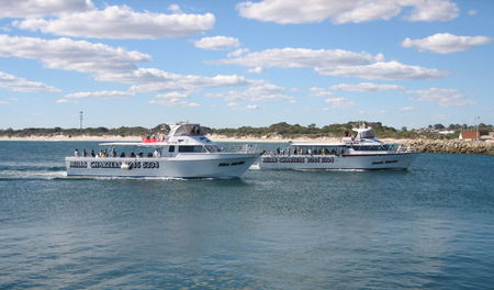 Mills Charters Fishing And Whale Watch Cruises - Accommodation Adelaide 2