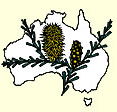 Australian National Botanic Gardens - Accommodation Adelaide