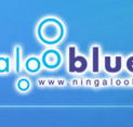 Ningaloo Blue Dive - Accommodation Adelaide