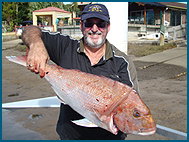 Odyssey Charters - Accommodation Adelaide 1