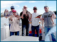 Odyssey Charters - Accommodation Adelaide 2