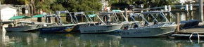 Brooklyn Central Boat Hire & General Store - Accommodation Adelaide 1