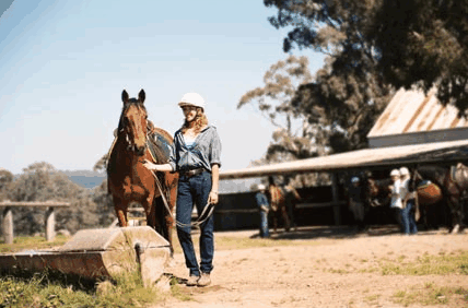 Watsons Trail Rides - Accommodation Adelaide 0